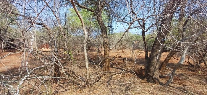 Vacant Land Residential in Marloth Park Central, 1505 sqm for sale, nature awaits.