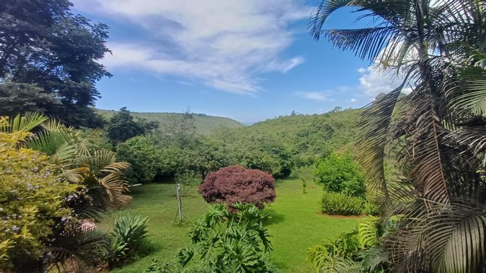 Income-Generating Small Holding with Orchards, Rentals & Development Potential in Louis Trichardt.