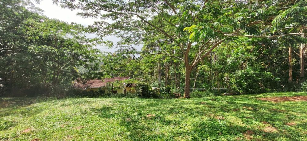 Garden view of neighbours