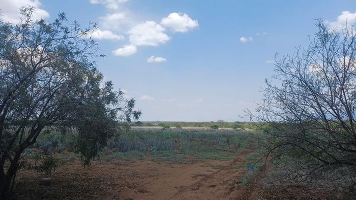 Louis Trichardt Rural Small Holding For Sale: Solar Power, Borehole, Flatlet, Spacious Living.