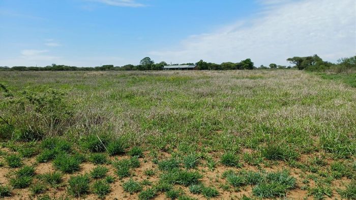 Louis Trichardt Rural Small Holding For Sale: Solar Power, Flatlet, Borehole, Spacious Living.