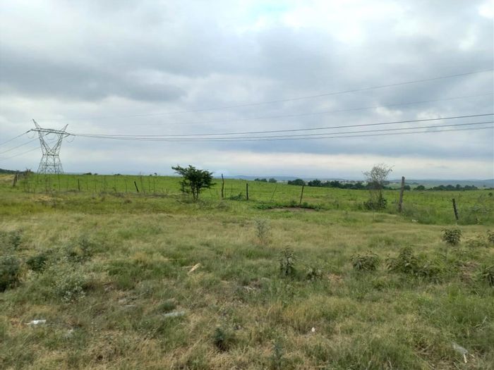 For Sale: 465-hectare farm in Empangeni Rural with water dams and diverse potential.