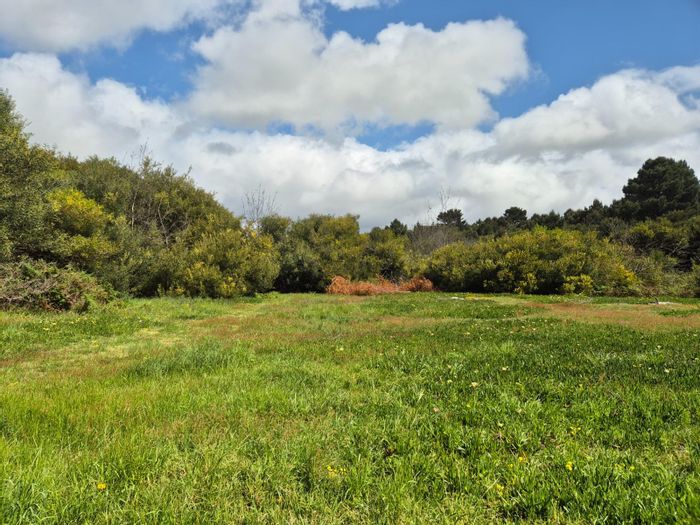 Vacant Land Commercial for Sale in Baardskeerdersbos Central with stream and biodiversity.