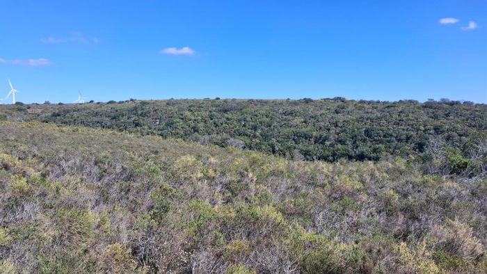 Vacant Land Residential in Kabeljauws For Sale – 3,354 sqm with Ocean Views