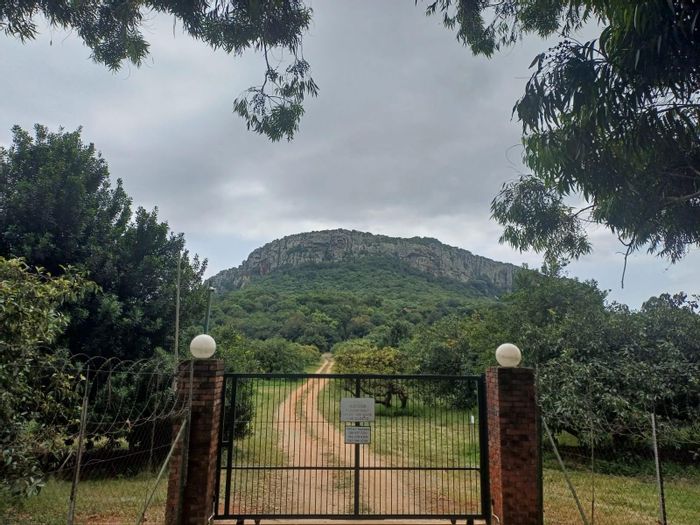 23.5Ha Small Holding in Louis Trichardt Rural with Farm, Home, and Infrastructure For Sale
