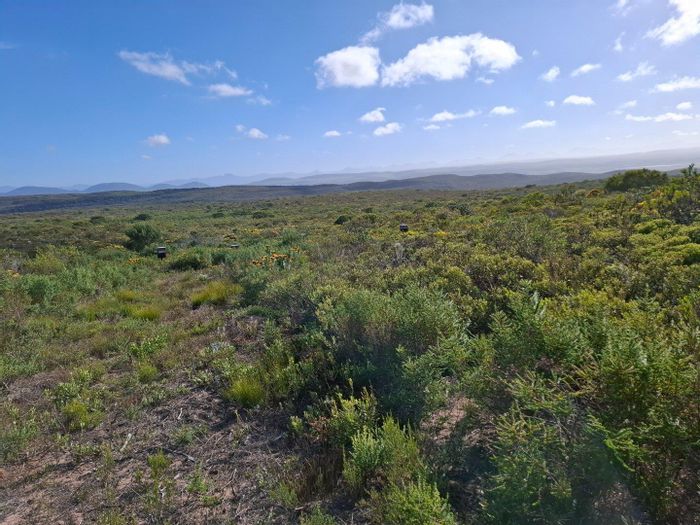 Farm for sale in Stilbaai Rural: 279 Ha, water rights, diverse farming potential.