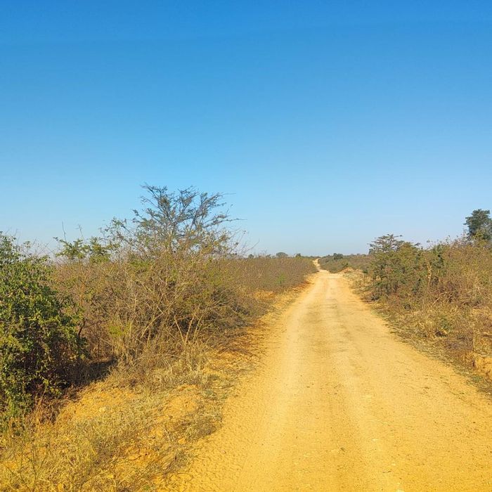 Farm for sale in Thohoyandou Rural, 100,000 m² land, pet-friendly.
