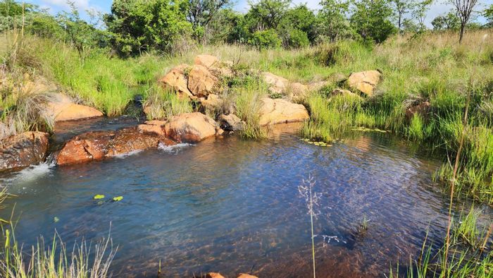 Vacant Land for Sale in Zwartkloof Private Game Reserve – Wildlife, Views, Secure Living