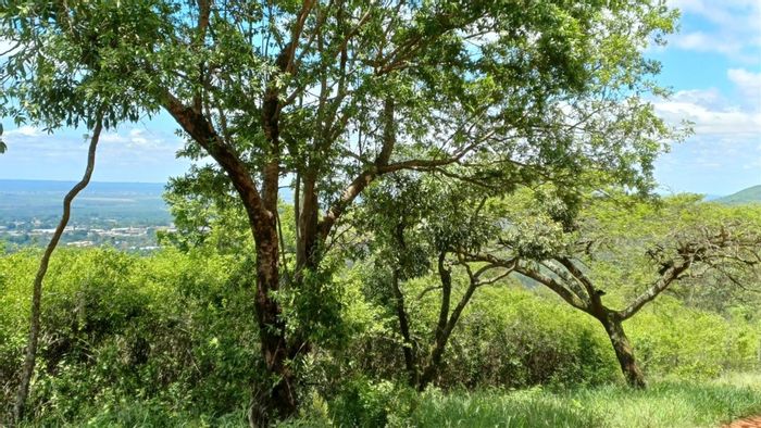 Farm for Sale in Louis Trichardt Central: Spacious home, borehole, and ample land.