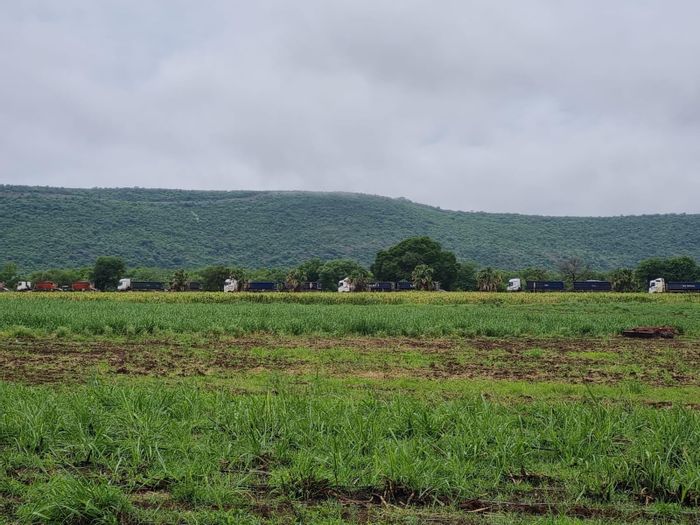 For Sale: 34-hectare farm in Komatipoort Central with prime N4 access and water rights.