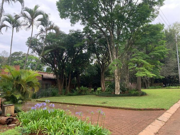 Spacious 4-bedroom house with pool, entertainment area, and garden in Louis Trichardt Central. For Sale.