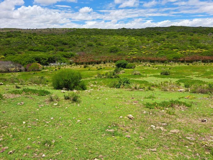 For Sale: 576 Ha farm in Stilbaai Rural with cattle facilities and water sources.