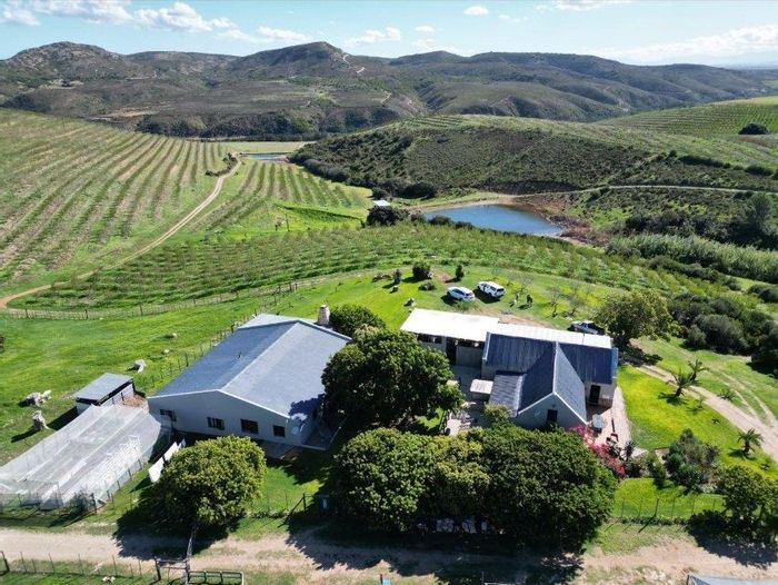Riversdale Rural Farm For Sale: Almond orchards, water rights, guest house, scenic views.