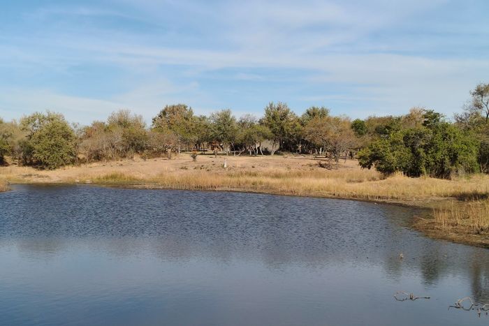 For Sale: Lodge in Hectorspruit Central with game-fenced land, guest accommodation, and entertainment.