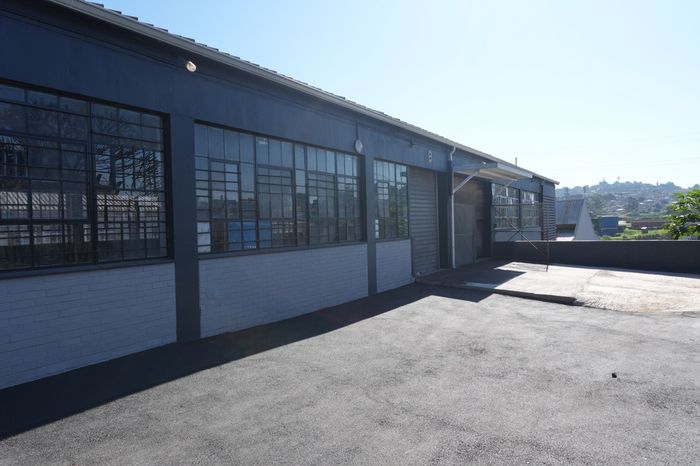 House in Alexander Park To Rent: 500sqm, dedicated yard, close to main roads.