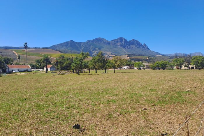 Retail property in Stellenbosch Farms for sale, featuring cottages and heritage wine cellar.