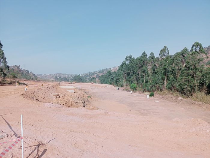 Vacant Agricultural Land For Sale in Westmead - Ideal for Farming Opportunities.