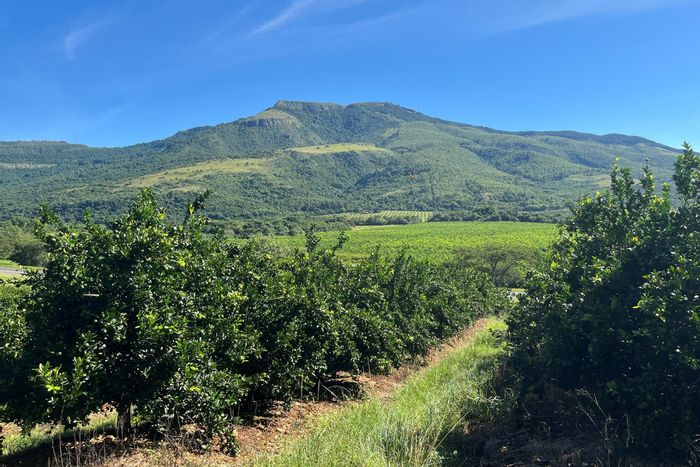 For Sale: Farm in Nelspruit Rural with lemon trees, farmhouse, and scenic views.