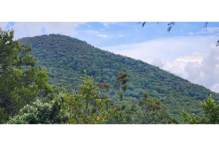 Vacant Land Residential for Sale in Bela Bela Rural - 10,000 m² with game reserve access.