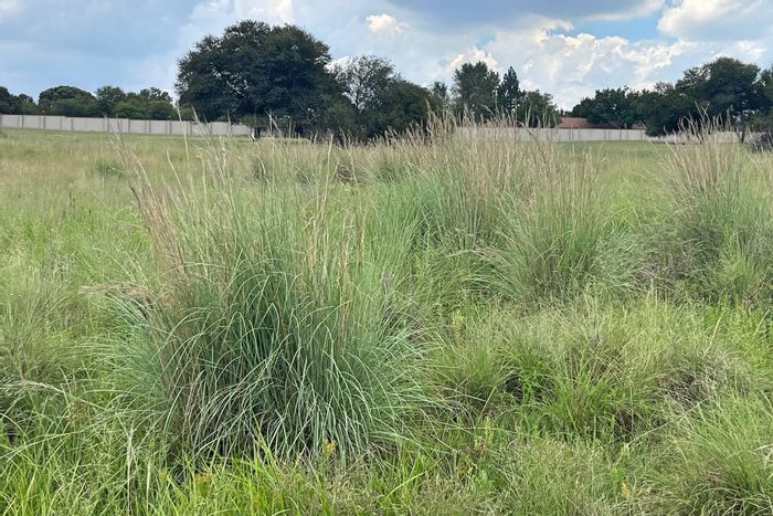 Vacant land for sale in Vaalpark's Heron Banks Golf Estate, secure living.