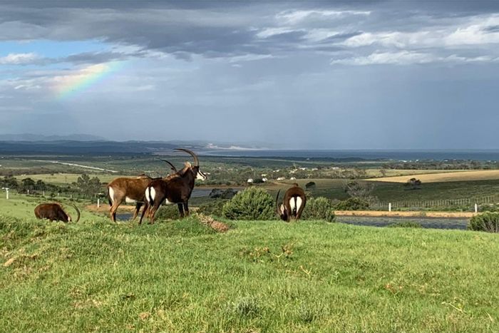 Vacant Land Residential in Kabeljauws For Sale: Secure estate, large plots, nature trails.