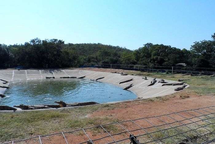 Profitable farm for sale in Mookgopong Central with crocodile production and amenities.