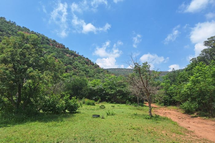 Kranspoort Farm For Sale: 102 hectares, diverse income streams, abundant water supply.