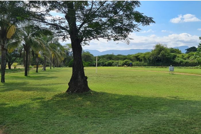 For Sale: 22-hectare farm in Louis Trichardt Central with irrigation, sheep, and poultry facilities.