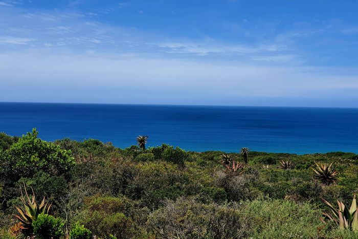 For Sale: 2779m² Vacant Land in Springerbaai Eco Estate with beach access and wildlife.