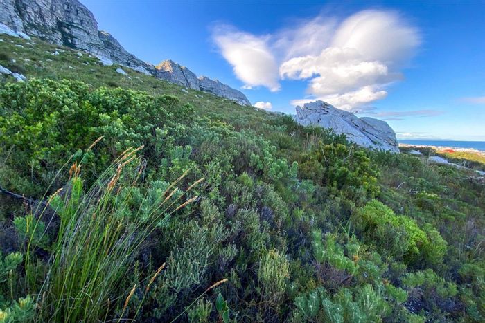 For Sale: 3,345m² Vacant Land in Bettys Bay Central with mountain views and privacy.