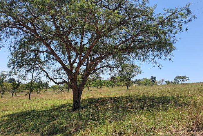 Vacant land for sale in The Rest Country Estate, 10,000 m² opportunity.