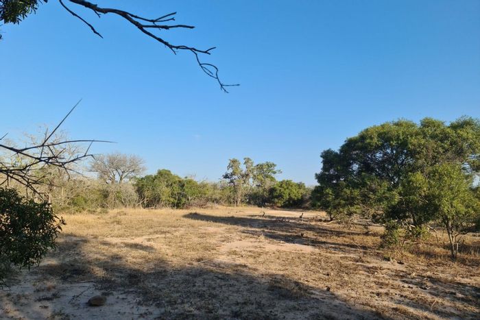 Vacant Land Residential For Sale in Moditlo Nature Reserve with game paths and river access.