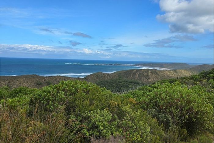Vacant Land Residential For Sale in Brenton On Sea with beachfront access and nature views.