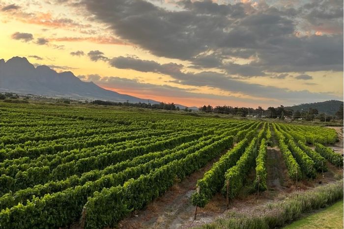 Franschhoek Rural Farm For Sale: 3-bedroom home, horse paddocks, panoramic views.