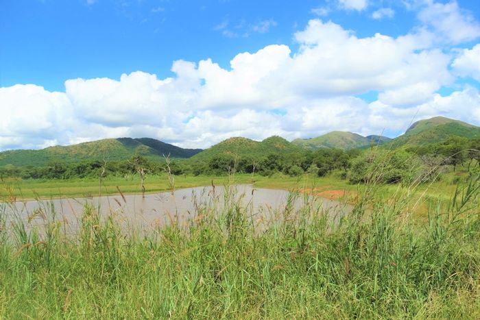 For Sale: 6,600-hectare farm in Malelane Rural with lodge, wildlife, and development potential.