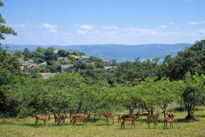 Vacant Land Residential For Sale at The Rest Nature Estate: 6000 m² with views.