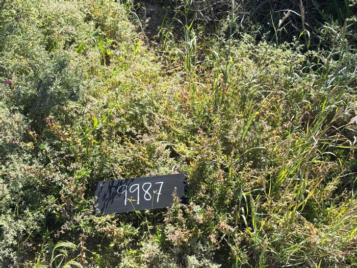 Vacant Land for Sale in St Helena Views: 400 sqm, ocean views, flexible building.