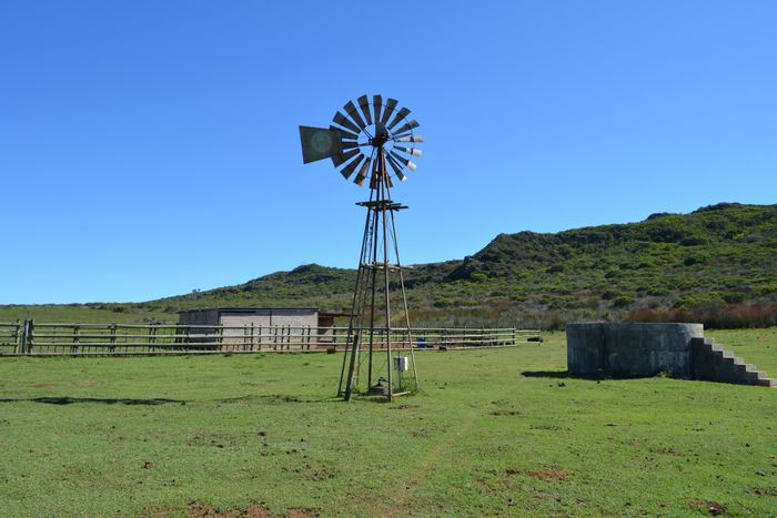 Farm for Sale in Stilbaai Rural: 3-bed home, boreholes, greenhouse, cattle pen.