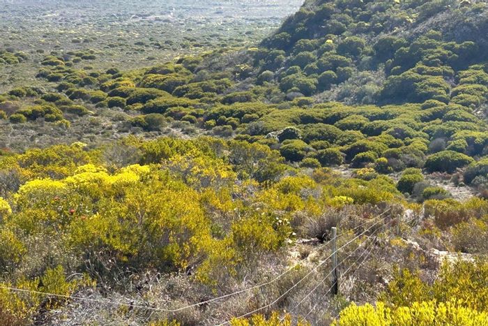 Riversdale Rural Farm For Sale: Off-grid potential, water supply, grazing land, approved plans.