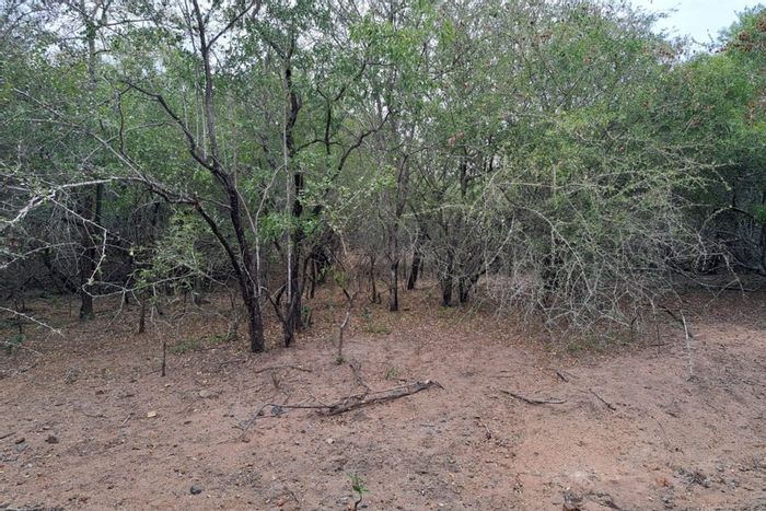 Vacant Land Residential in Marloth Park Central For Sale, 2078 m² with bushveld views.