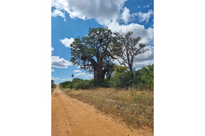 Mopane Farm For Sale: Private Nature Reserve with lodges, wildlife, and conservation potential.