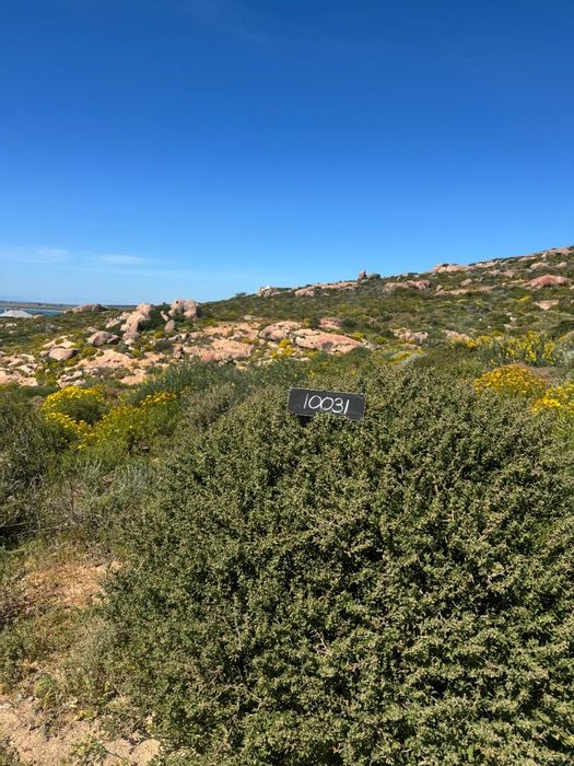 Vacant Land for Sale in St Helena Views - Ocean views, flexible building options.