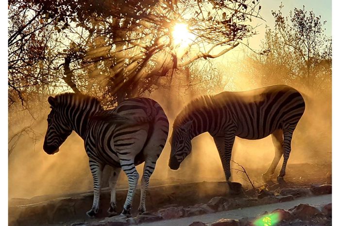 Vacant Land Residential For Sale in Kranspoort with parkland views and wildlife access.