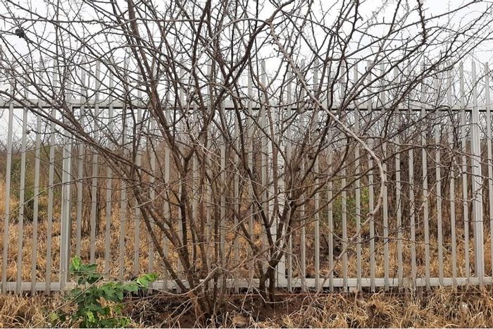 For Sale: 4.5 hectares of vacant residential land in Mokopane Central.