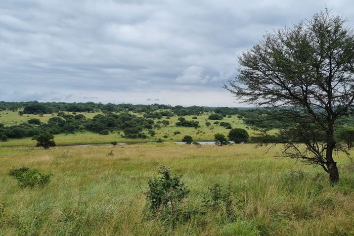 For Sale: 1211-Hectare Farm in Morbeng Central with wildlife and historic homestead.