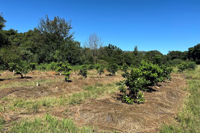 Vacant Land Commercial For Sale in Nelspruit Rural with water rights and agricultural potential.