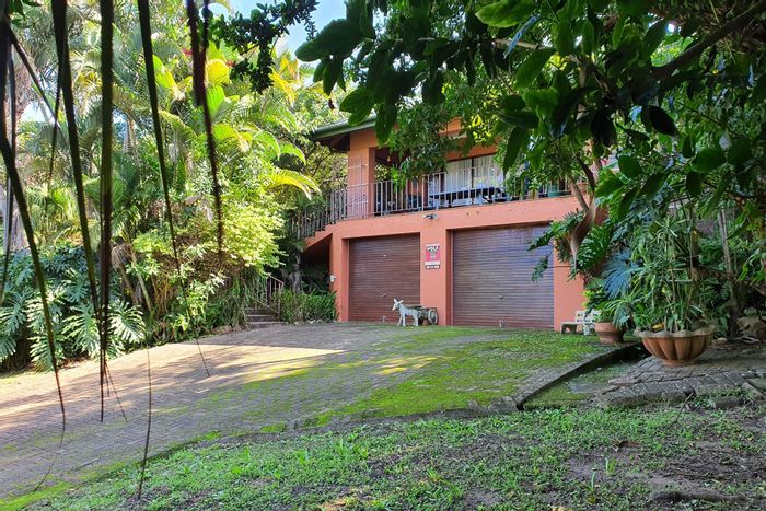 For Sale: House in Margate Central with pool, study, bar, and spacious garden.