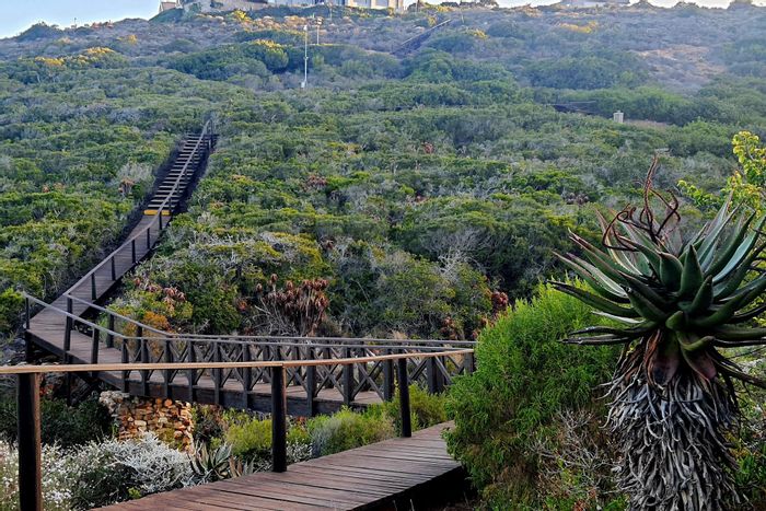 Vacant Land Residential For Sale in Nautilus Bay with views, wildlife, and trails.