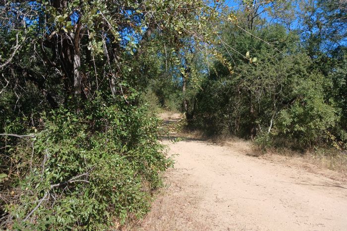 Vacant Land Residential in Moditlo Nature Reserve For Sale, access to wildlife and privacy.