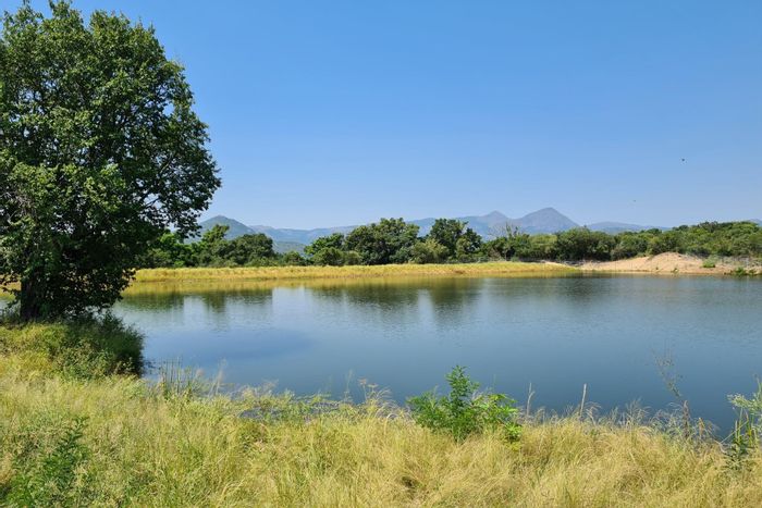 For Sale: 54-hectare Macadamia Farm in Malelane Rural with irrigation and de-husking plant.